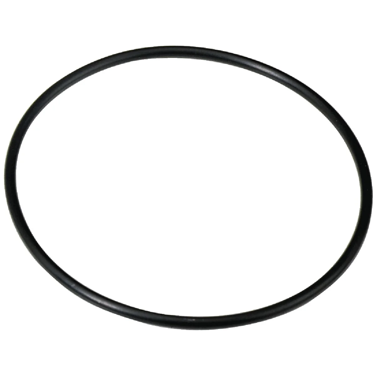 Comfortable Culligan 3 8 In. Water Filter O-Ring for Ametek Green
