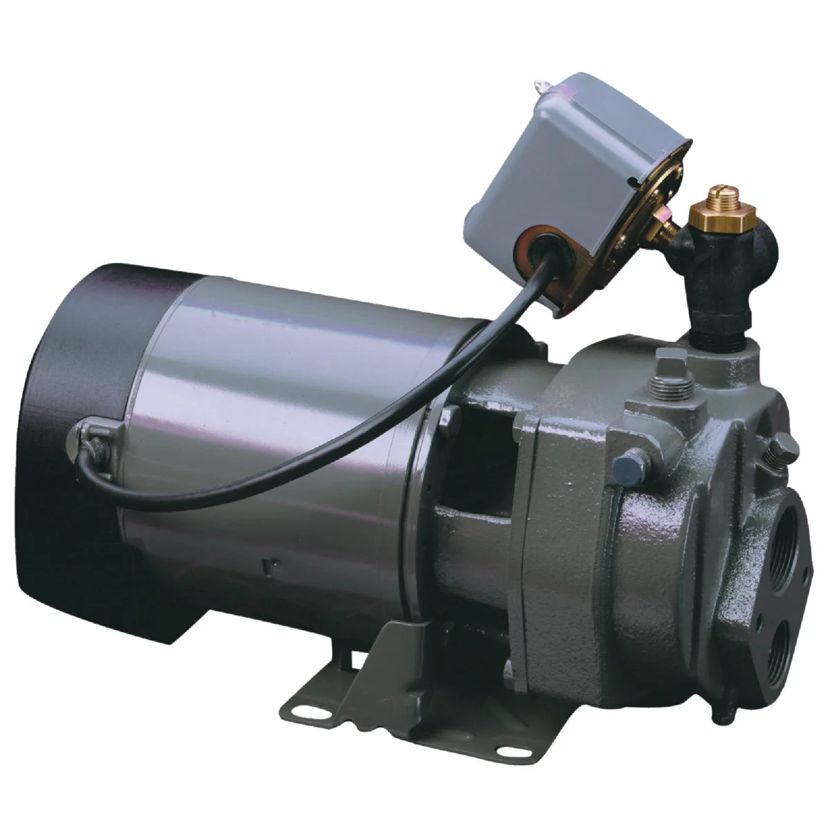 Convenient Do it 1 HP Cast Iron Water Conventional Well Jet Pump Responsible