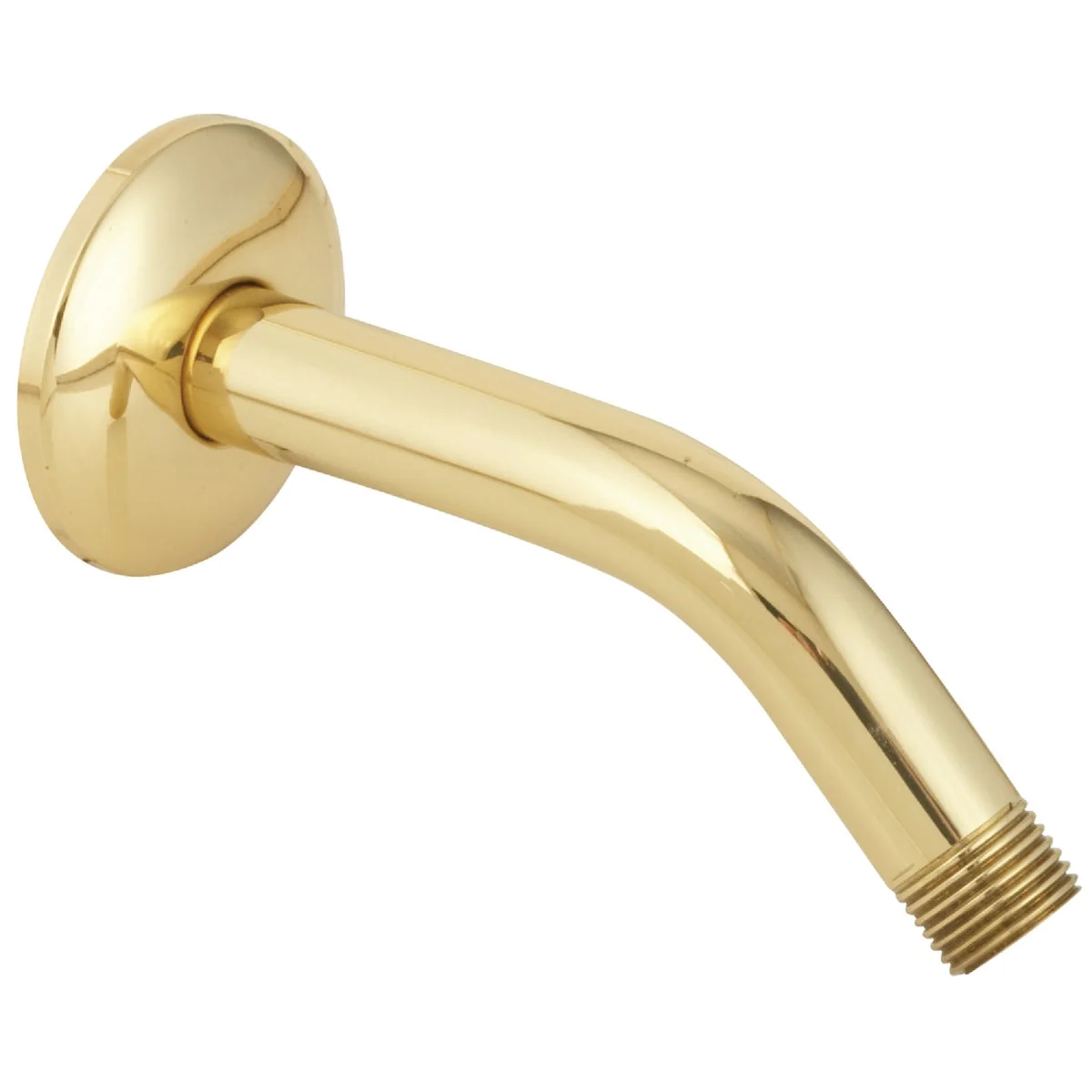 Classic Do it 6 In. Polished Brass Shower and Flange Trendy