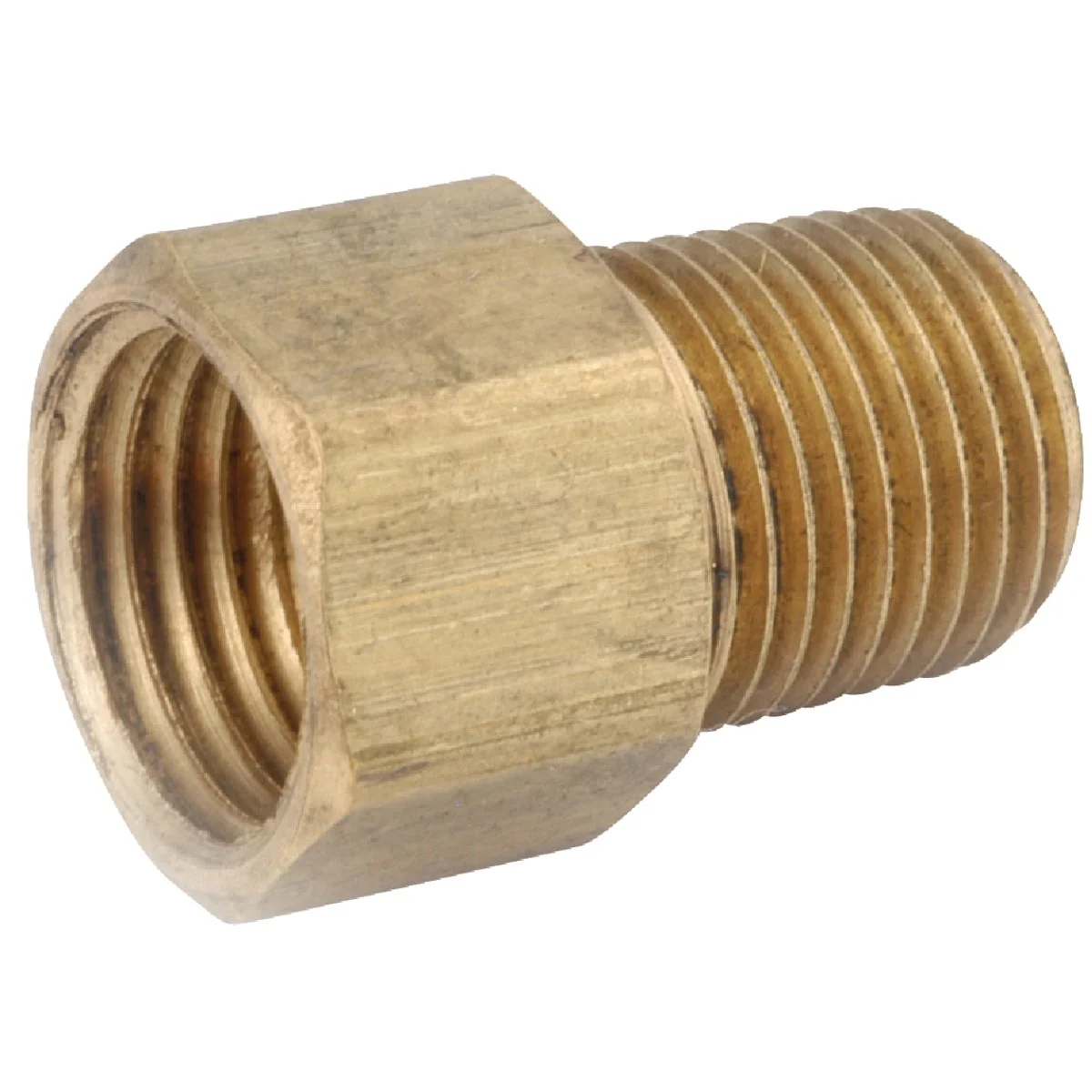 Durable Anderson Metals 5 16 In. x 1 4 In. Brass Inverted Flare Connector Convenient