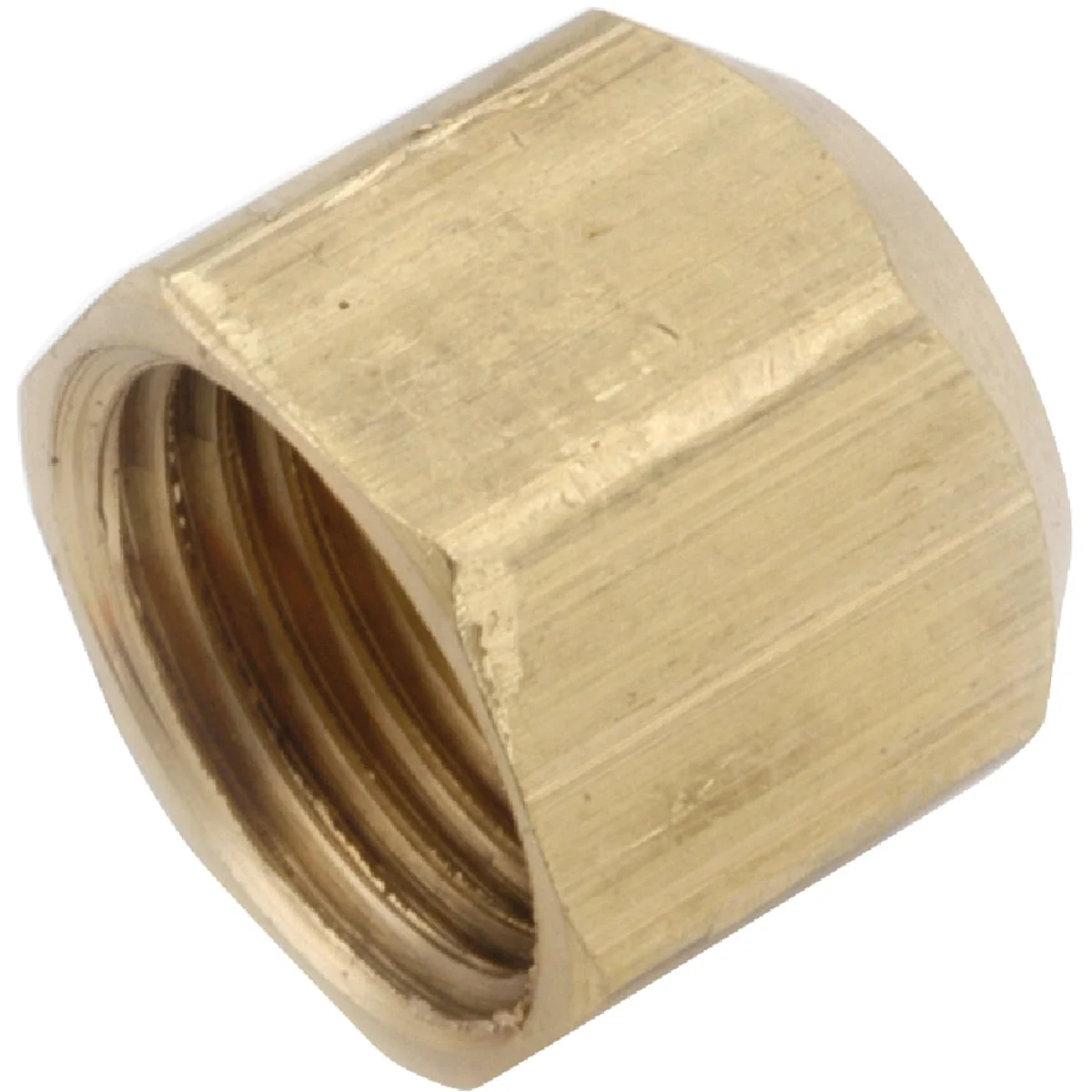 Verified Anderson Metals 1 4 In. Brass Flare Cap Exceptional