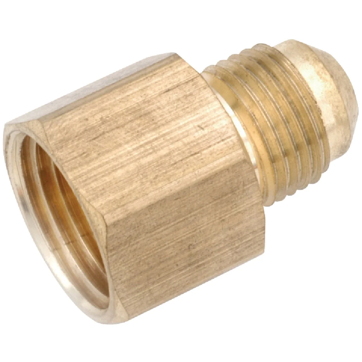 Contemporary Anderson Metals 1 4 In. x 1 8 In. Brass Low Lead Female Flare Connector Modern