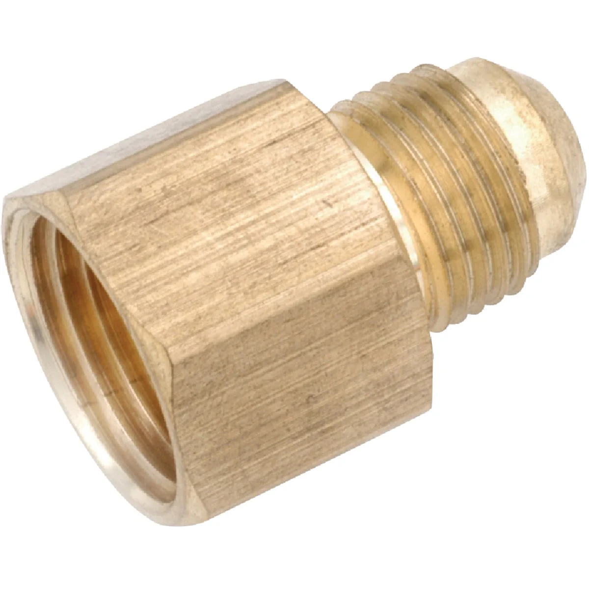 Sustainable Anderson Metals 1 2 In. x 3 4 In. Brass Low Lead Female Flare Connector High-Quality