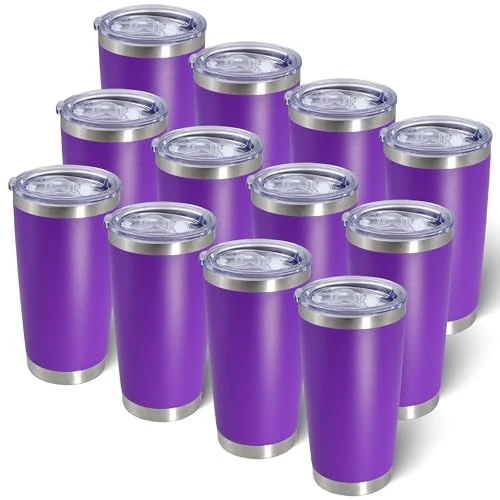 Fast 20oz Tumbler with Lid Stainless Steel Tumblers Insulated Mug Purple 12P Reusable