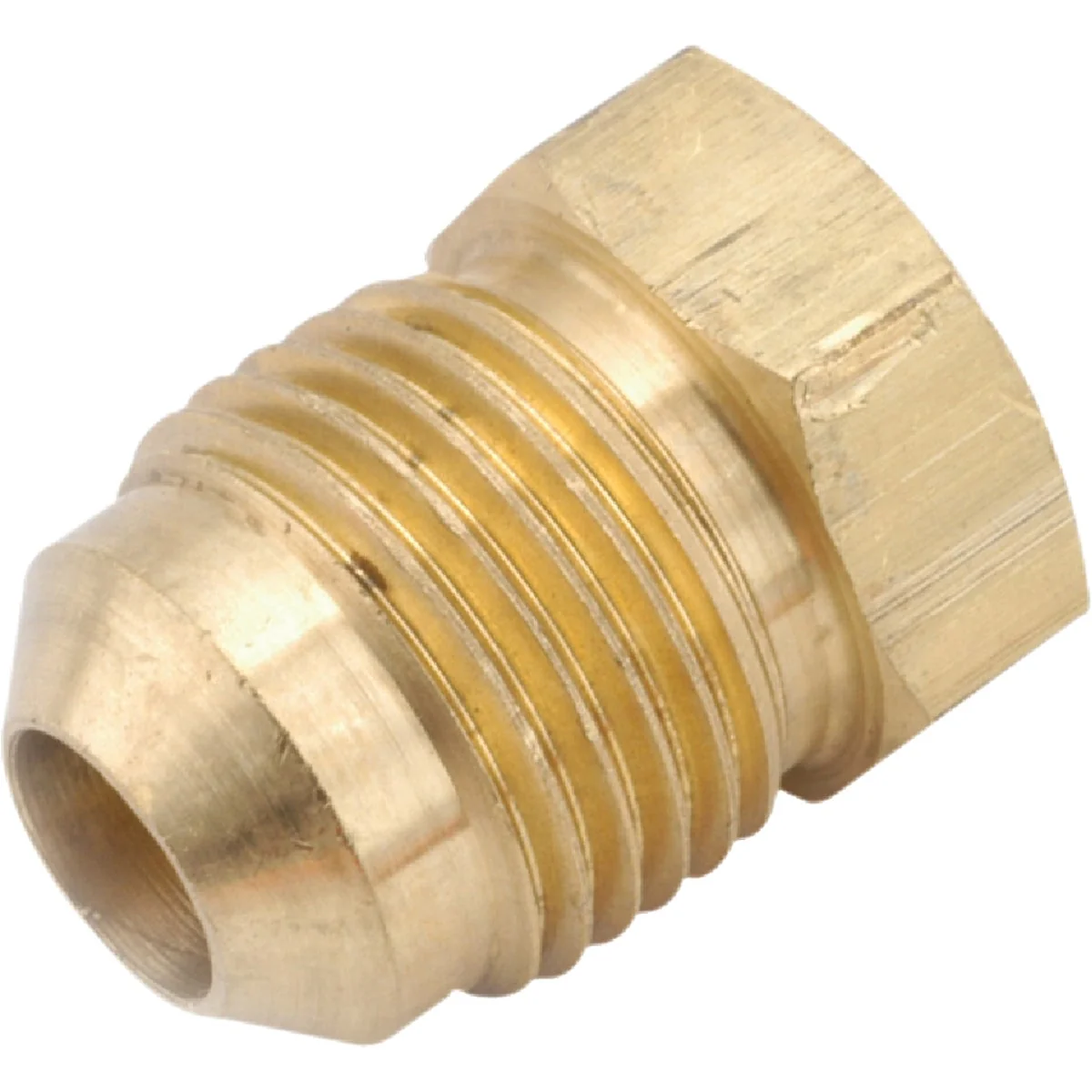 Eco-Friendly Anderson Metals 1 4 In. Brass Flare Plug Outstanding