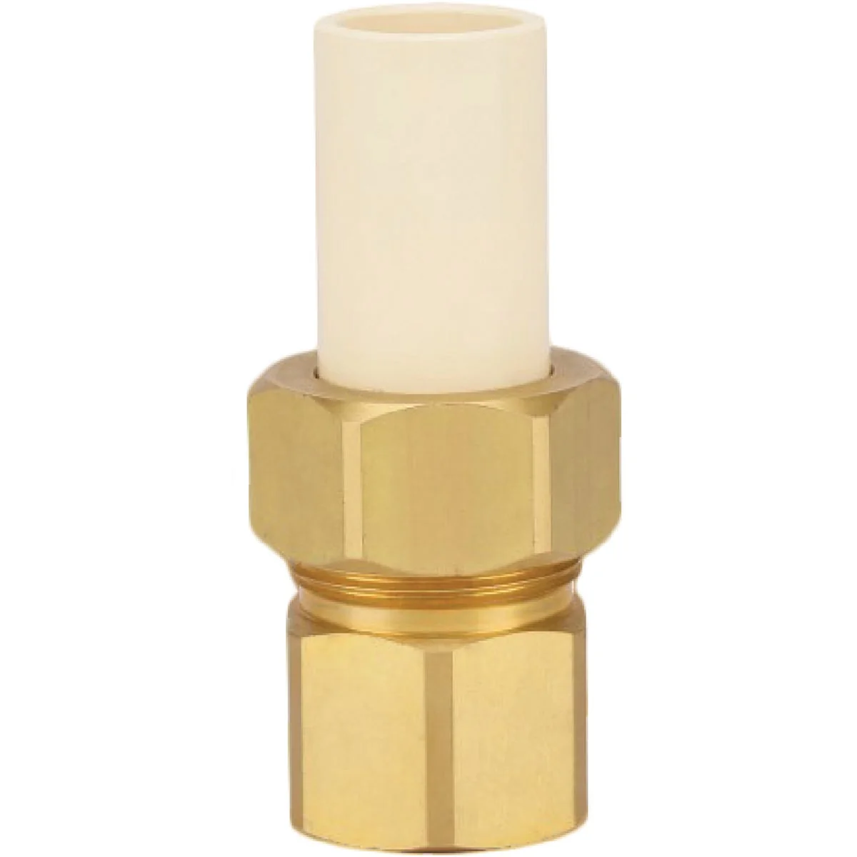 Specialty Homewerks 3 4 In. Slip x 3 4 In. FIP CPVC Transition Brass Union Contemporary