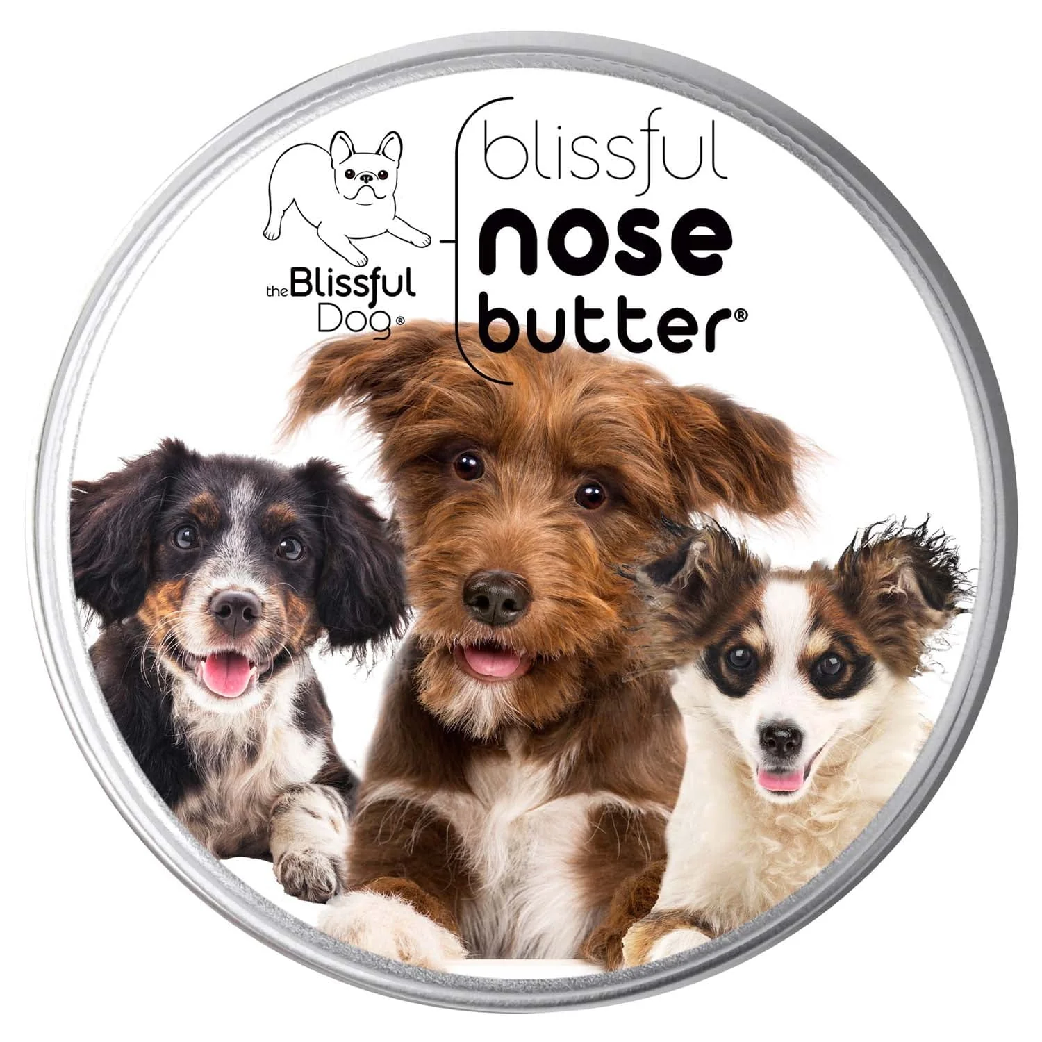 Outstanding 3 Cute Puppies Nose Butter Sustainable