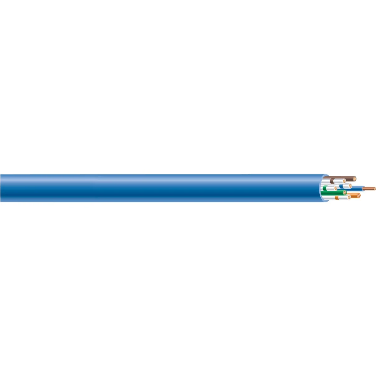 Traditional Woods Southwire 1000 Ft. Blue 23 4 AWG Cat-6 Wire Healthy
