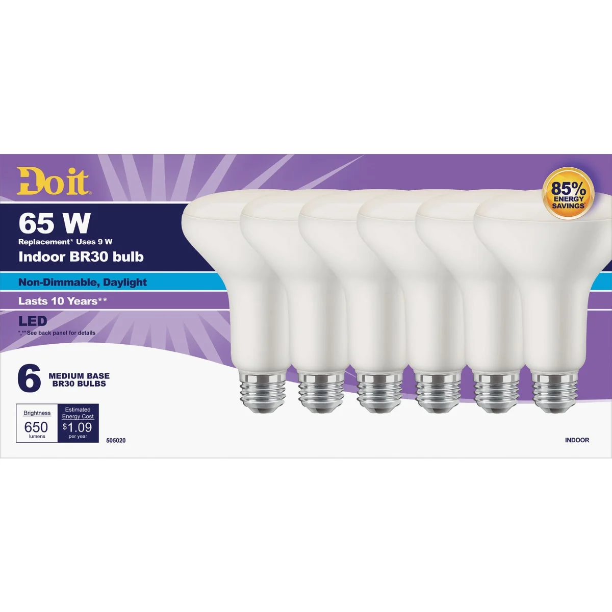 Relaxed Do it 65W Equivalent Daylight BR30 Medium LED Floodlight Light Bulb 6-Pack Functional