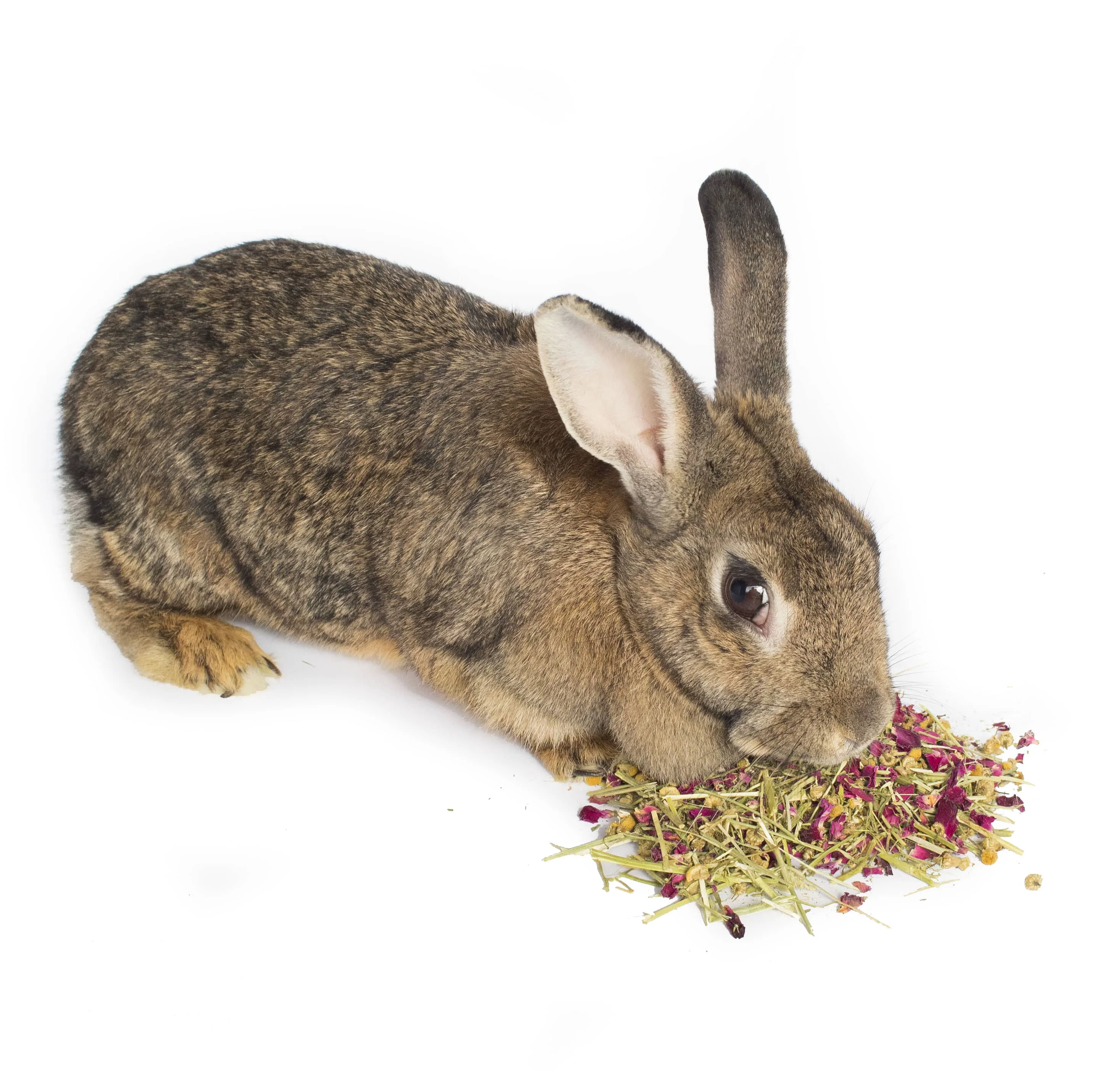 Enhanced Calming Forage Mix For Rabbits Guinea Pigs Hamsters and Chinchillas 2 ounces Versatile