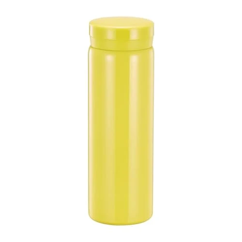 Comfortable 10oz Mini Water Bottle Stainless Steel Thermos Small Flask World-Class
