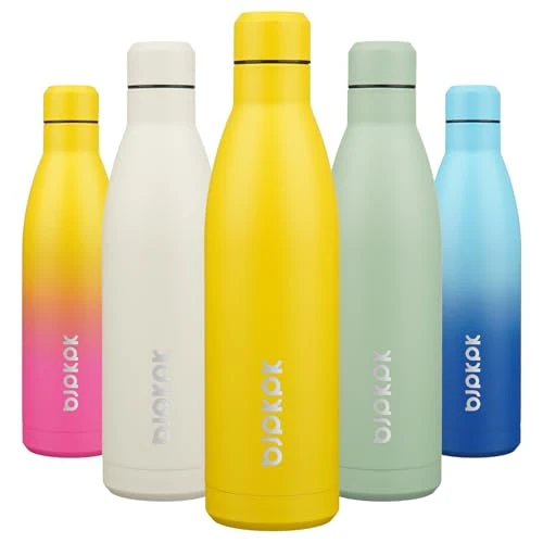 Classic 25 oz Insulated Stainless Steel Water Bottle Casual