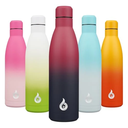 Convenient 25 oz Insulated Stainless Steel Water Bottle Contemporary