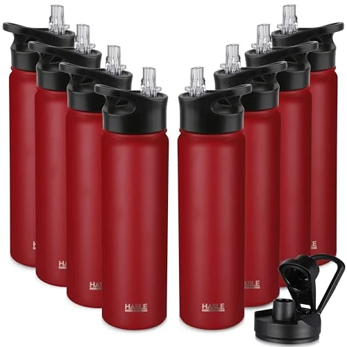 World-Class Insulated Water Bottle 22 oz Double Wall Stainless Steel Water Bottle Wide Mouth with Straw Lid Spout Lid Keeps Cold or Hot Consistent