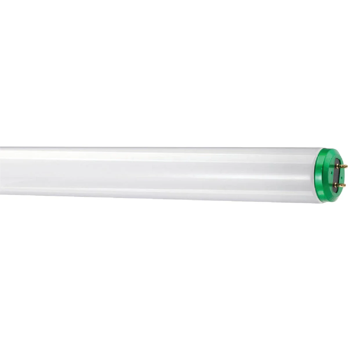Lightweight Philips ALTO 40W 48 In. Bright White T12 Medium Bi-Pin Fluorescent Tube Light Bulb 2-Pack Pure