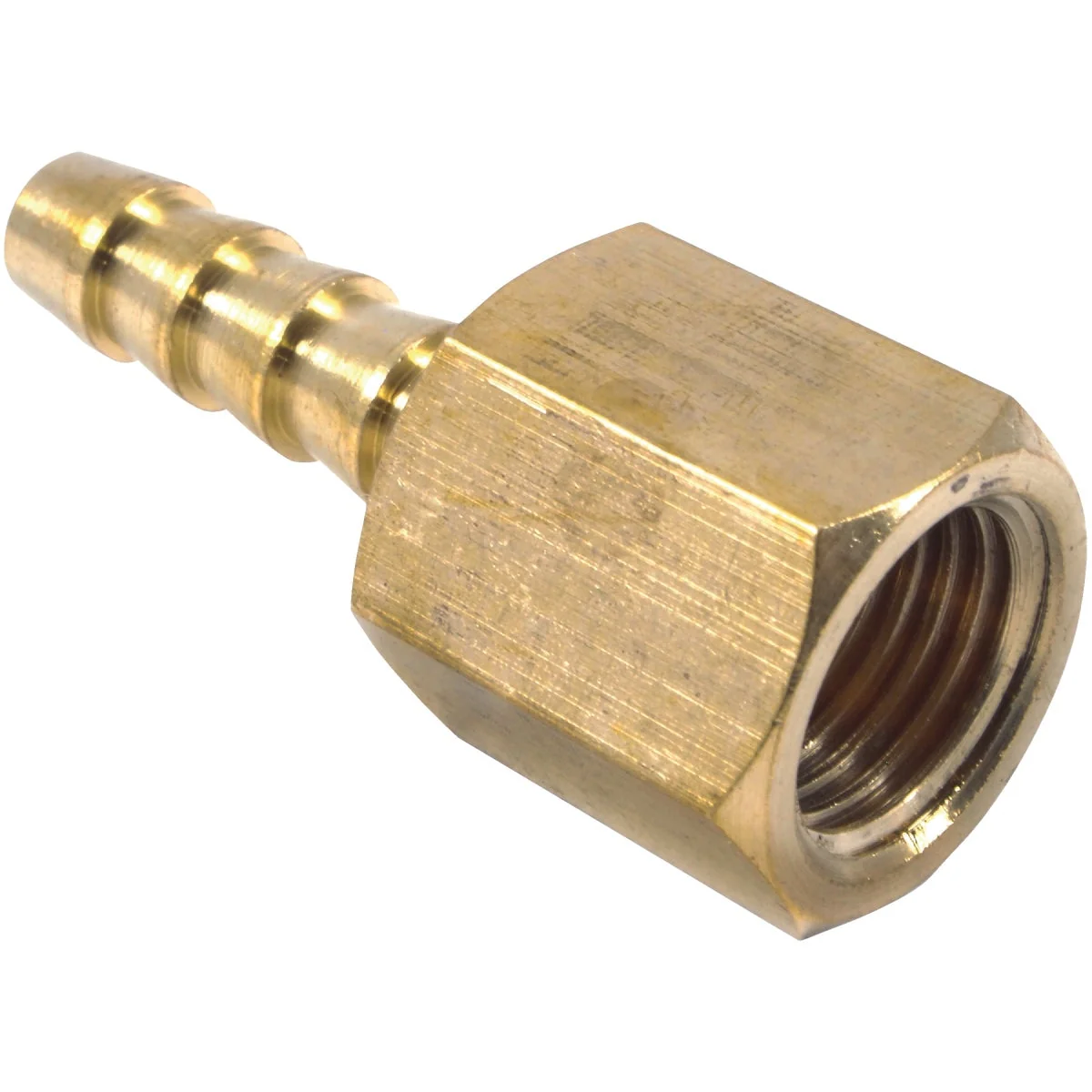 Elegant Forney 1 4 In. Barb 1 4 In. FNPT Brass Hose End Soft