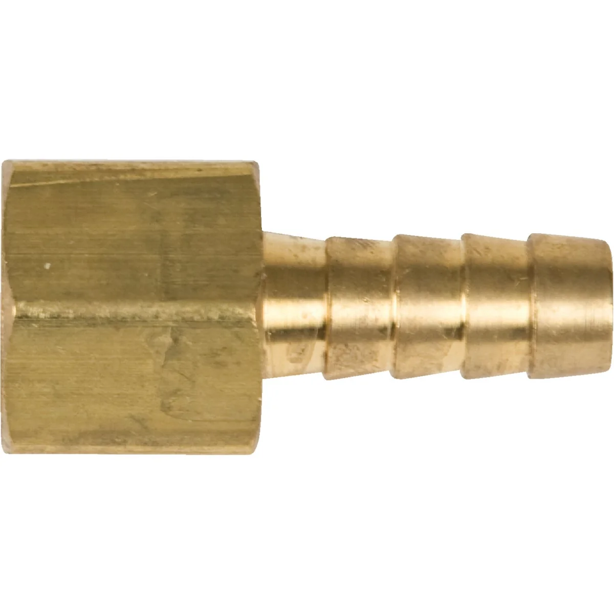 Versatile Forney 1 4 In. Barb 3 8 In. FNPT Brass Hose End Stylish