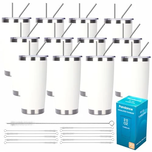 Clean 20oz Stainless Steel Insulated Tumblers Bulk 12 Count Practical