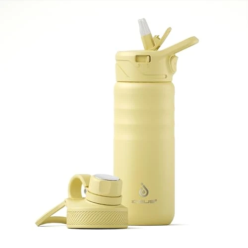 Fine Insulated Stainless Steel Water Bottle with 2 Leak Dependable