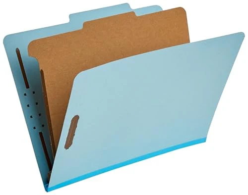 Efficient Classification Folder for Documents and Organization 10 Count Selected