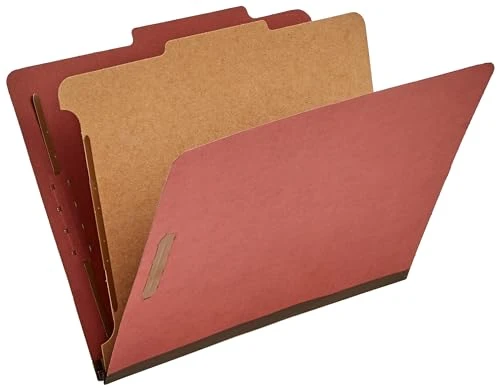 Fashionable Classification File Folder 10 Count Modern