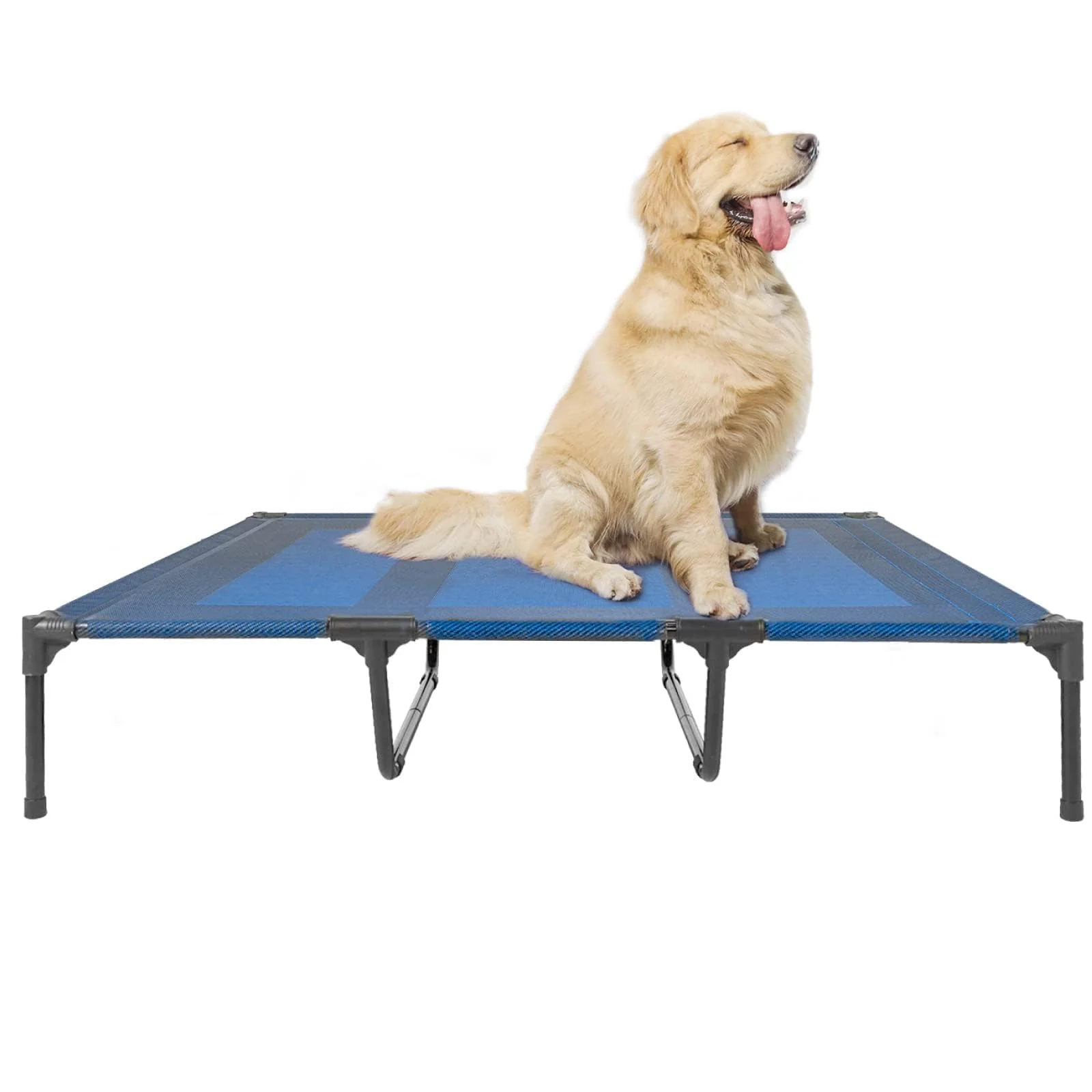 Solid suddus d Dogs Bed – Waterproof Outdoor Raised Bed X-Large Blue Stylish