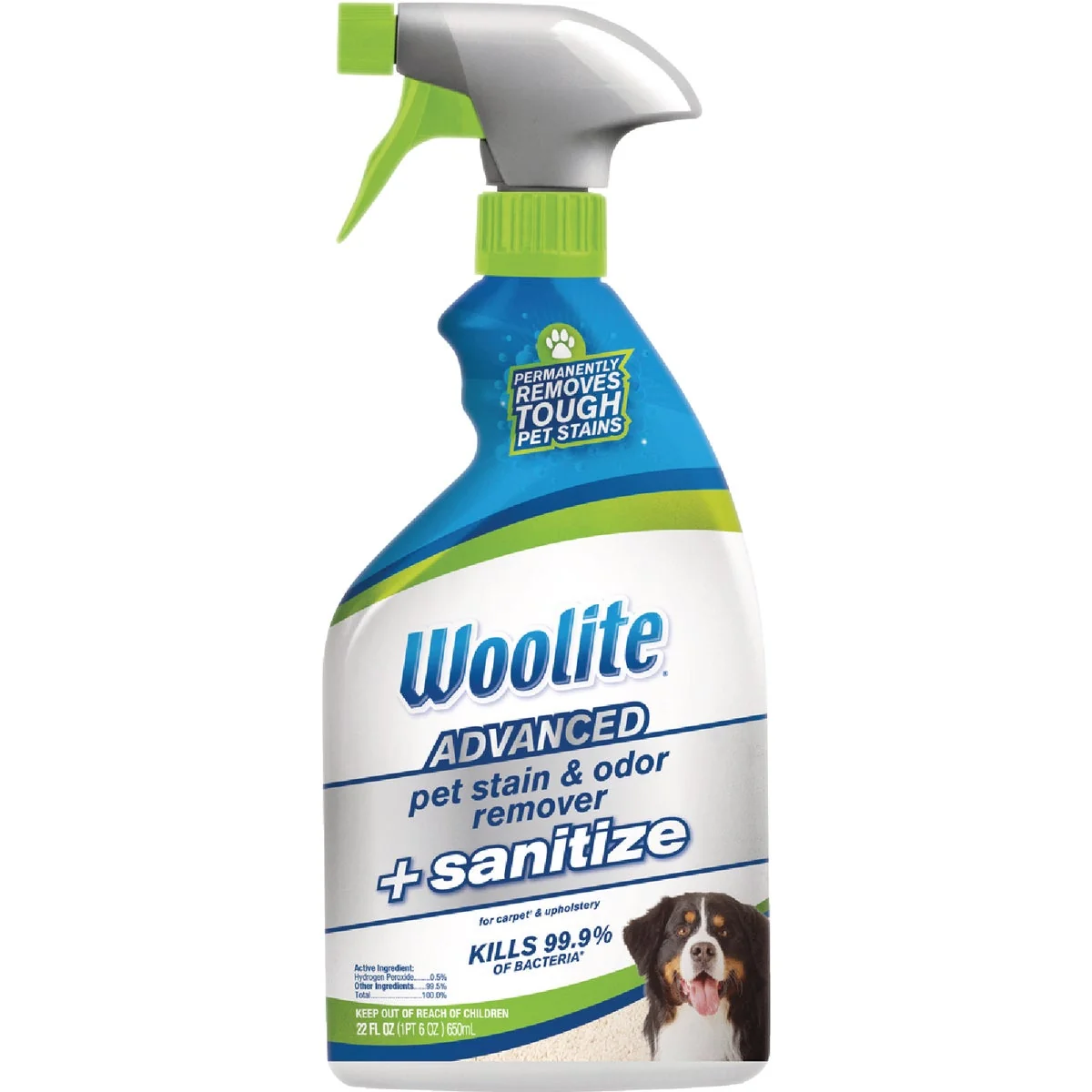 Natural Woolite 22 Oz. Advanced Pet Carpet Stain Odor Remover Sanitize Easy-to-Use