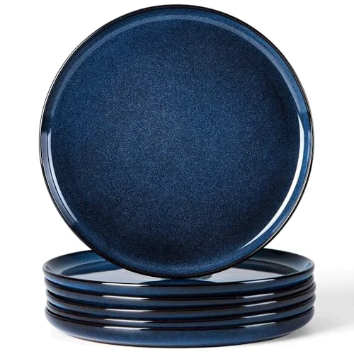 Reliable 6 Piece Stoneware Dinner Plates Set Comfortable