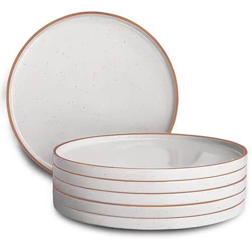 Trendy Mora 10.5 inch Porcelain Dinner Plate Set of 6 6 Count Clean