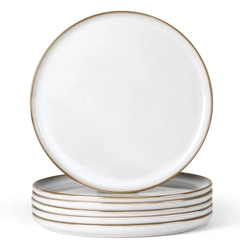 Sustainable Ceramic 10.43 Inch Dinner Plates Set of 6 Next-Generation