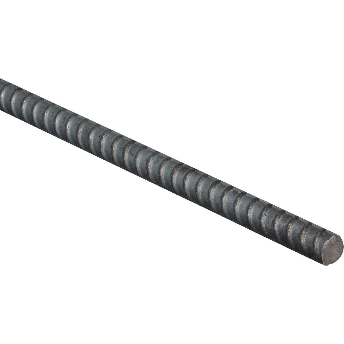 Contemporary Grip-Rite 4 1 2 In. x 2 Ft. Steel Rebar Fast