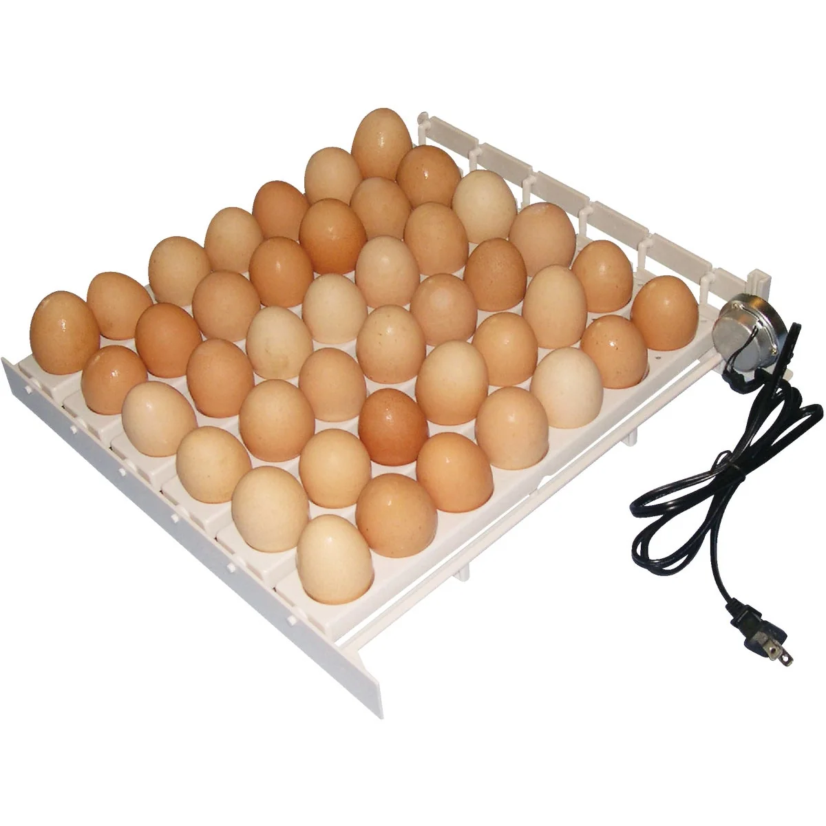Certified Farm Innovators 41-Egg Capacity 120V Automatic Egg Turner Trendy