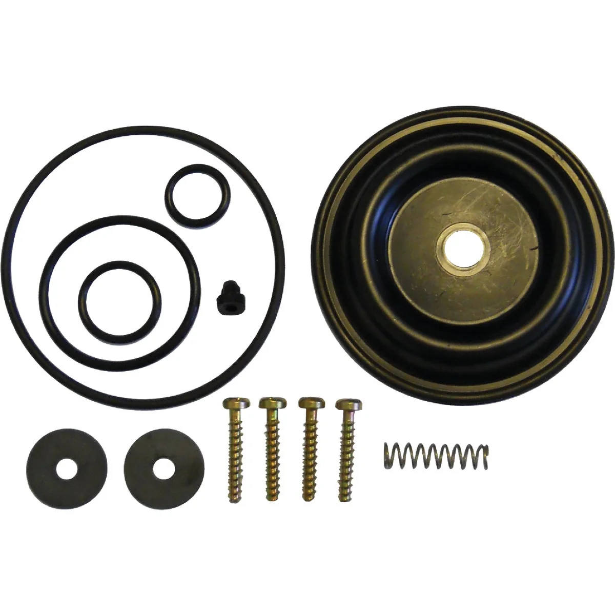 Fine Solo Diaphragm Pump Repair Kit Unique