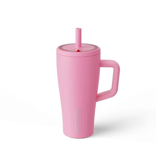 Practical Era 20 oz Tumbler with Handle and Straw Elite