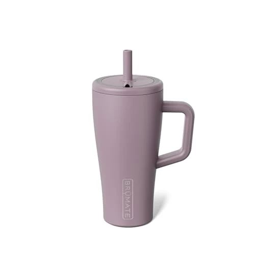 Consistent Era 20 oz Tumbler with Handle and Straw Fashionable