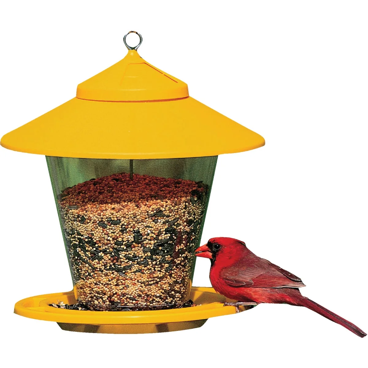 Comfortable Cherry Valley Plastic Hopper Bird Feeder 4 Lb. Professional