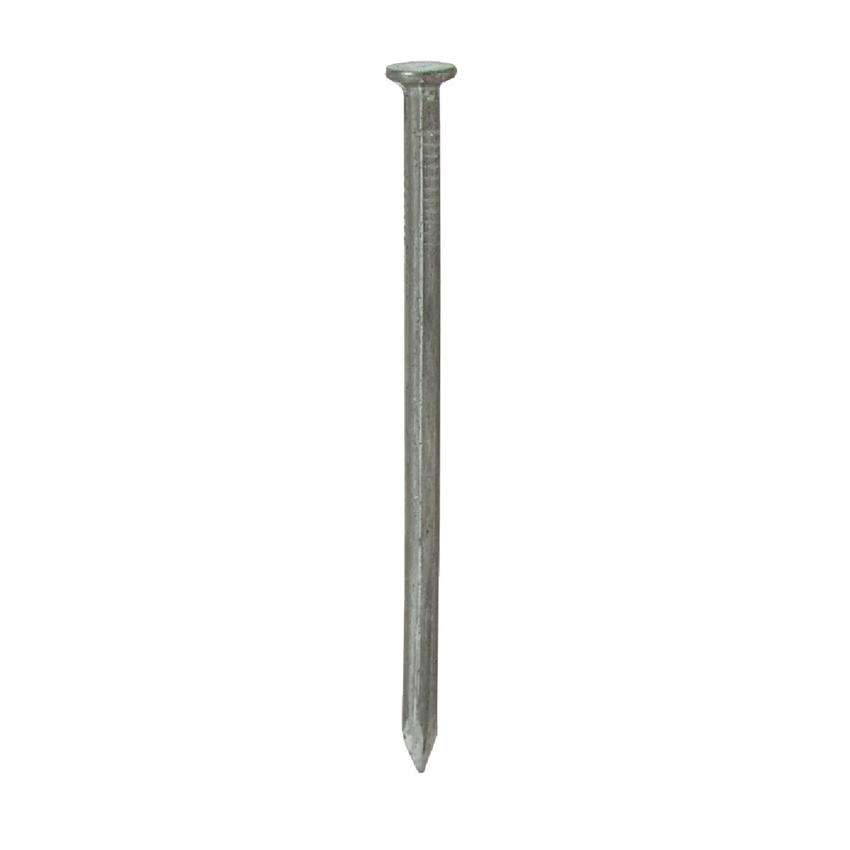 Exceptional Grip-Rite 8d x 2-1 2 In. 10-1 4 ga Bright Common Nails 3030 Ct. 30 Lb. Outstanding