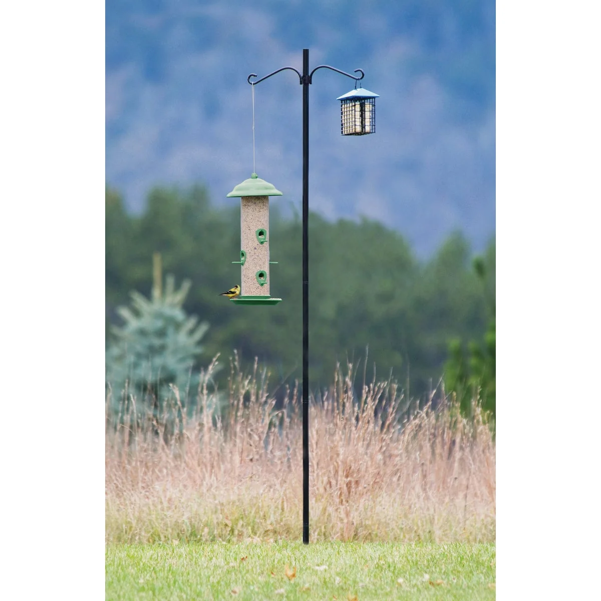 Organic More Birds 6.5 Ft. Steel Bird Feeder Pole Kit Stylish
