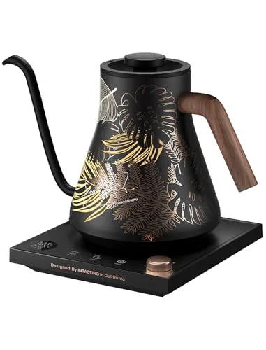 Fashionable Electric Kettles Natural