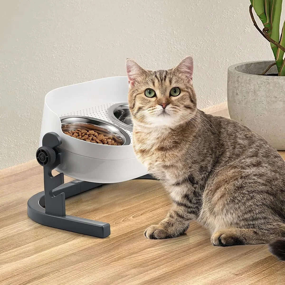 Sustainable All for Paws Height Adjustable Cat d Bowls Stainless Steel Dog Food Water Bowls Height Adjustable Cat Feeder Mess Proof Pet Feeding Bowls for Small to Large Size Cats Top-Quality