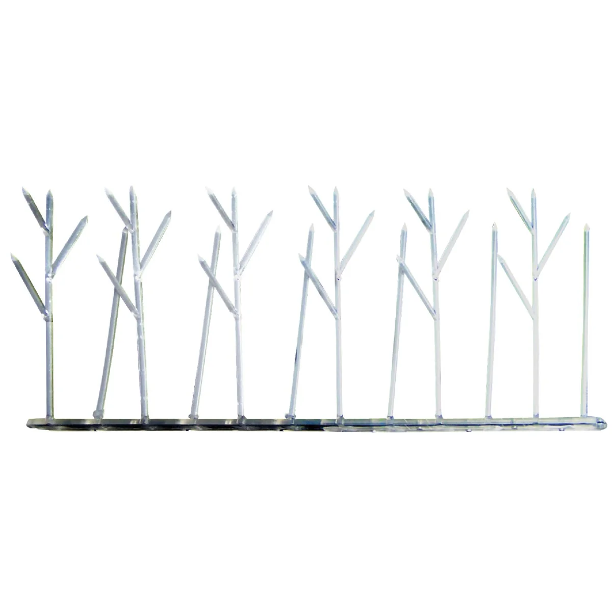 Prestigious Bird X Polycarbonate Plastic 3 Ft. W. x 1 Ft. L. Bird Control Spikes Exceptional