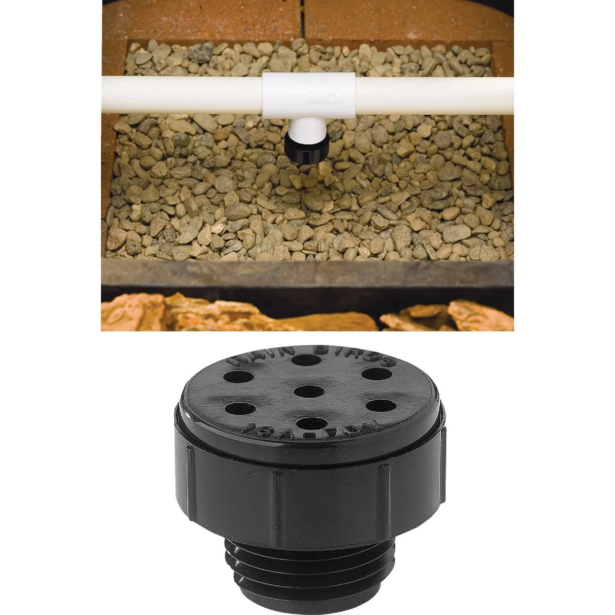 Stylish Rain Bird 1 2 In. MPT Automatic Drain Valve Fashionable