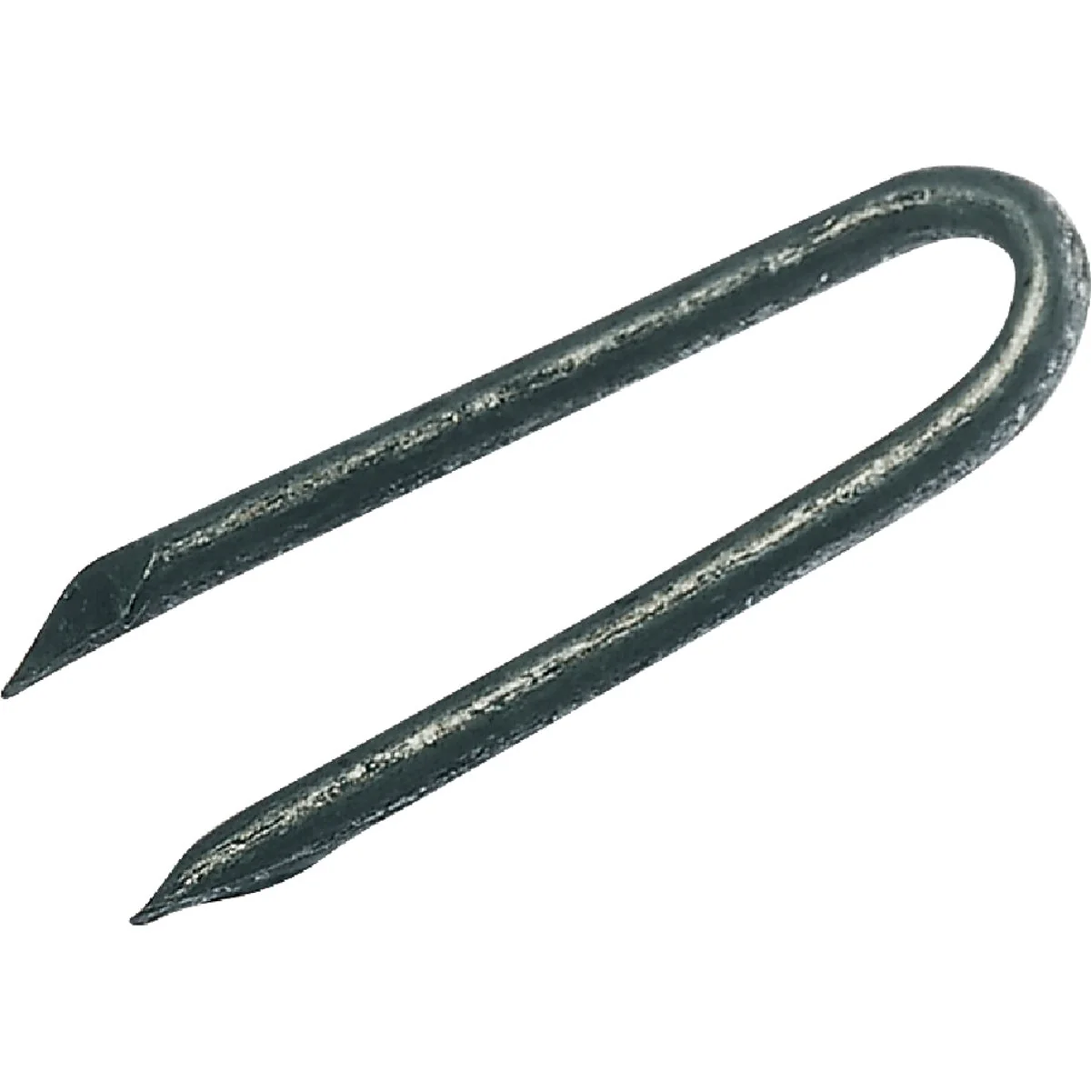Stylish Grip-Rite 1-1 2 In. 9 ga Hot Galvanized Fence Staple 3600 Ct. 50 Lb. Safe