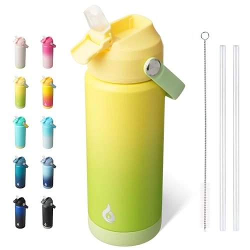 Expertly Made 18oz Insulated Water Bottle Stylish