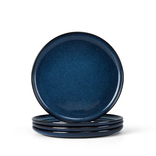 Trendy 4 Piece Stoneware Small Dinner Plates Set Elite