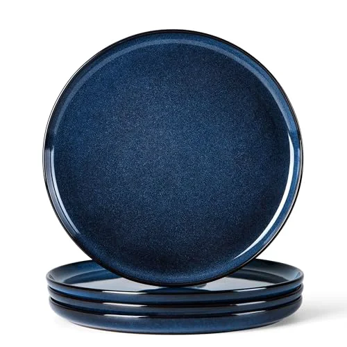 Secure 4 Piece Stoneware Dinner Plates Set Fine