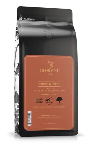 Recyclable Pumpkin Spice Coffee Ground 12 Ounce Eco-Friendly