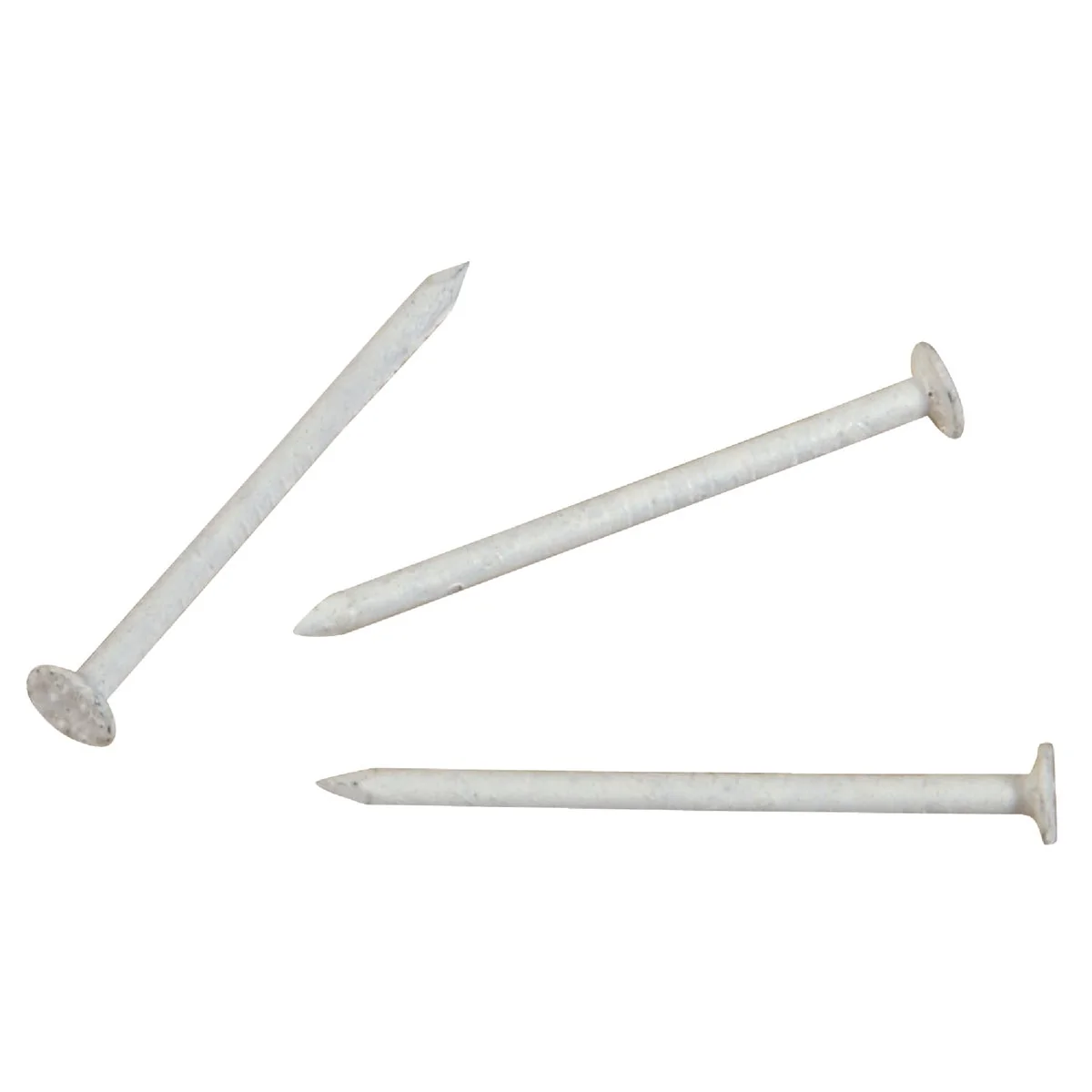 Reliable Hillman Anchor Wire 1-1 4 In. 15 ga White Stainless Steel Trim Nails 5 Ct. 6 Oz. Minimalist