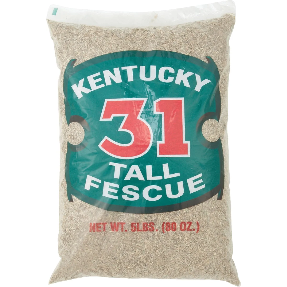 Solid Barenbrug 5 Lb. 1000 Sq. Ft. Coverage Kentucky 31 Tall Fescue Grass Seed Smooth