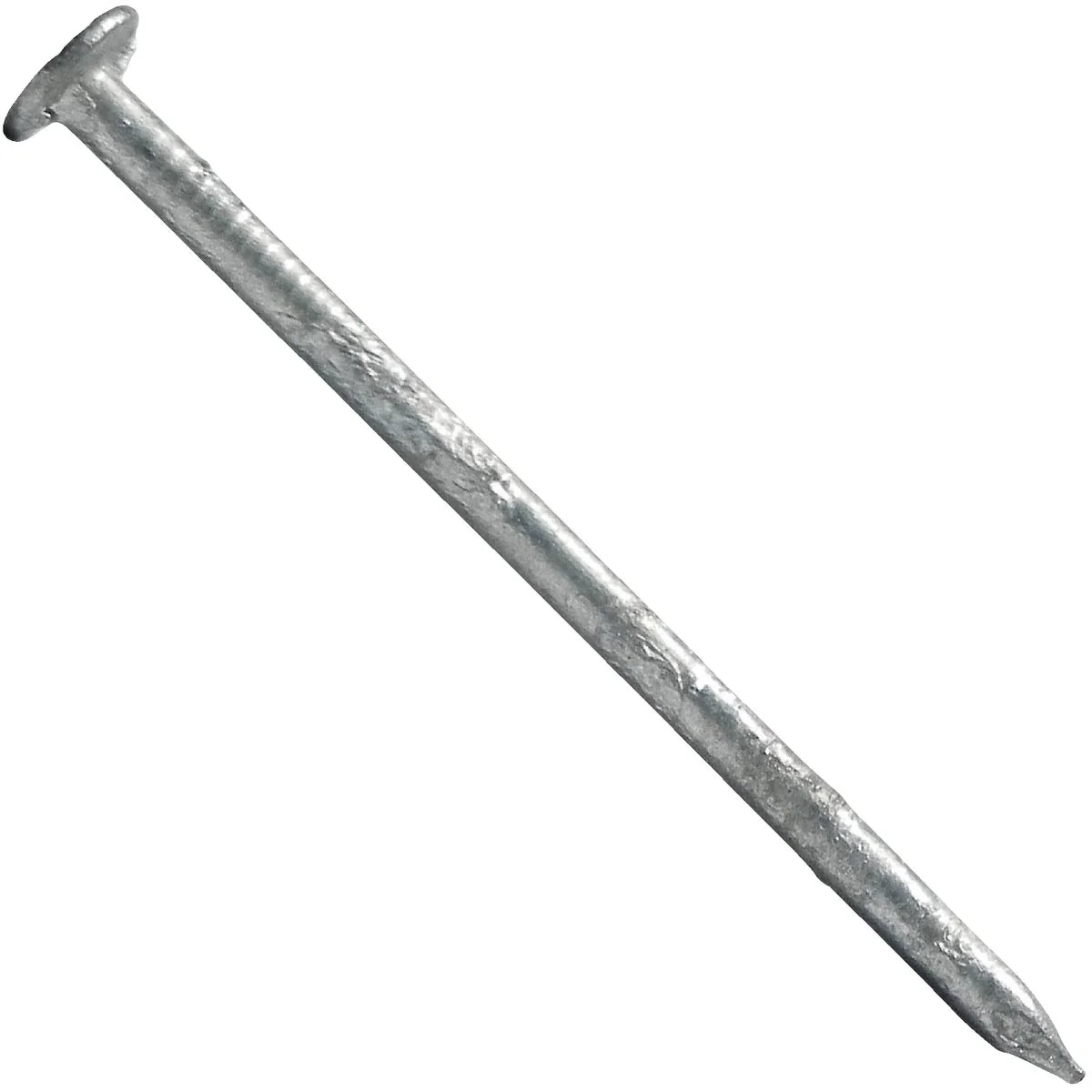 Authentic Maze Stormguard 2-1 2 In. Hot Dipped Galvanized Siding Nails 645 Ct. 1 Lb. High-End